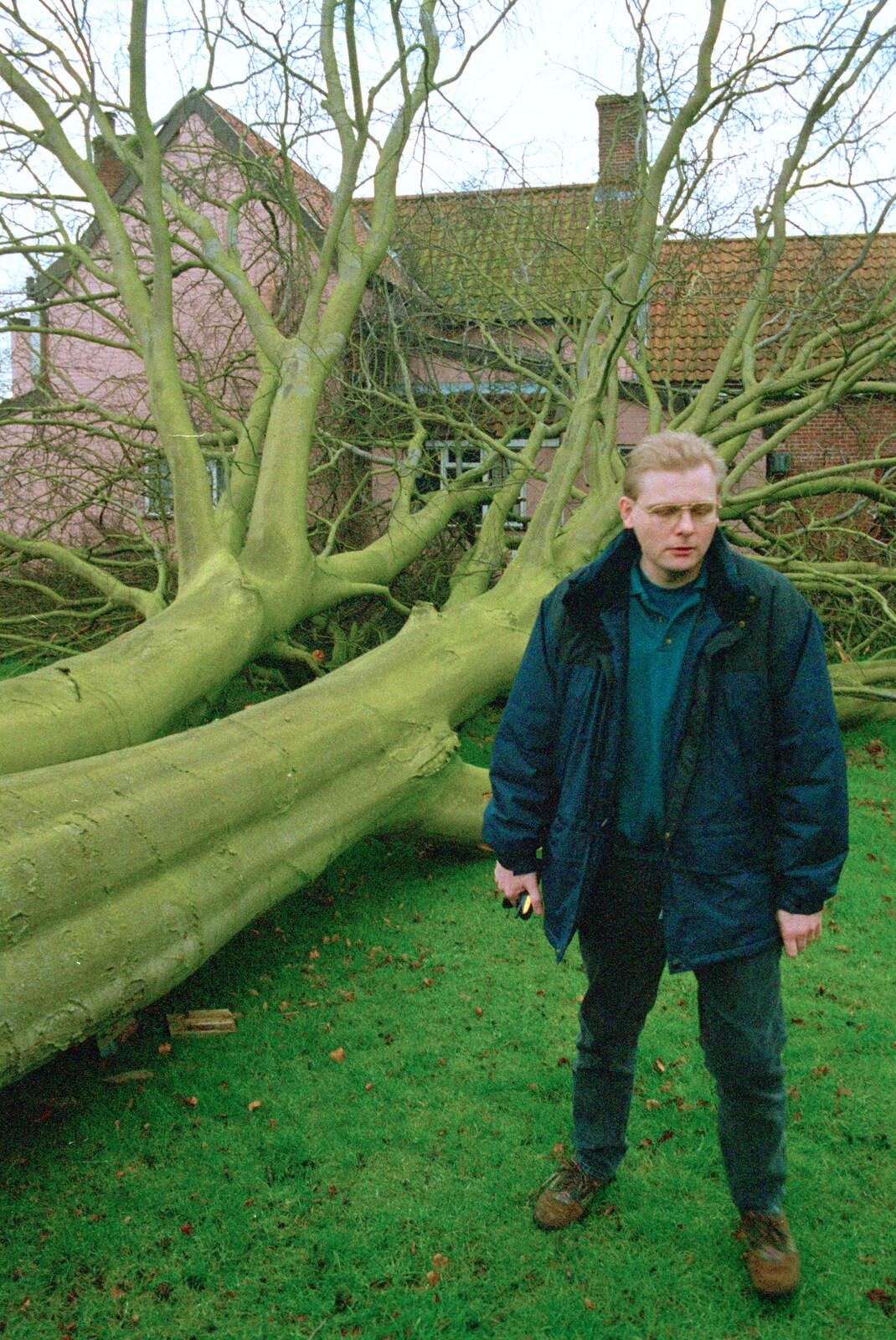 A Fallen Tree at The Swan, Brome, Suffolk - January 21st 2001: Ian has a look around