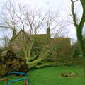 A view of the tree and stump from the back garden, A Fallen Tree at The Swan, Brome, Suffolk - January 21st 2001
