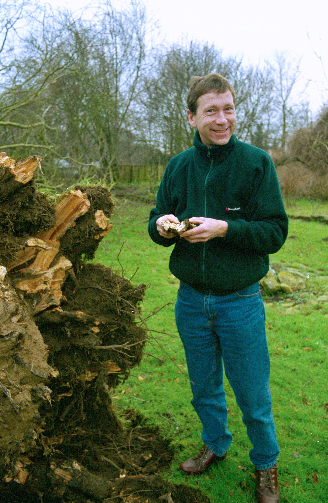A Fallen Tree at The Swan, Brome, Suffolk - January 21st 2001: Apple inspects the fungal destroyer