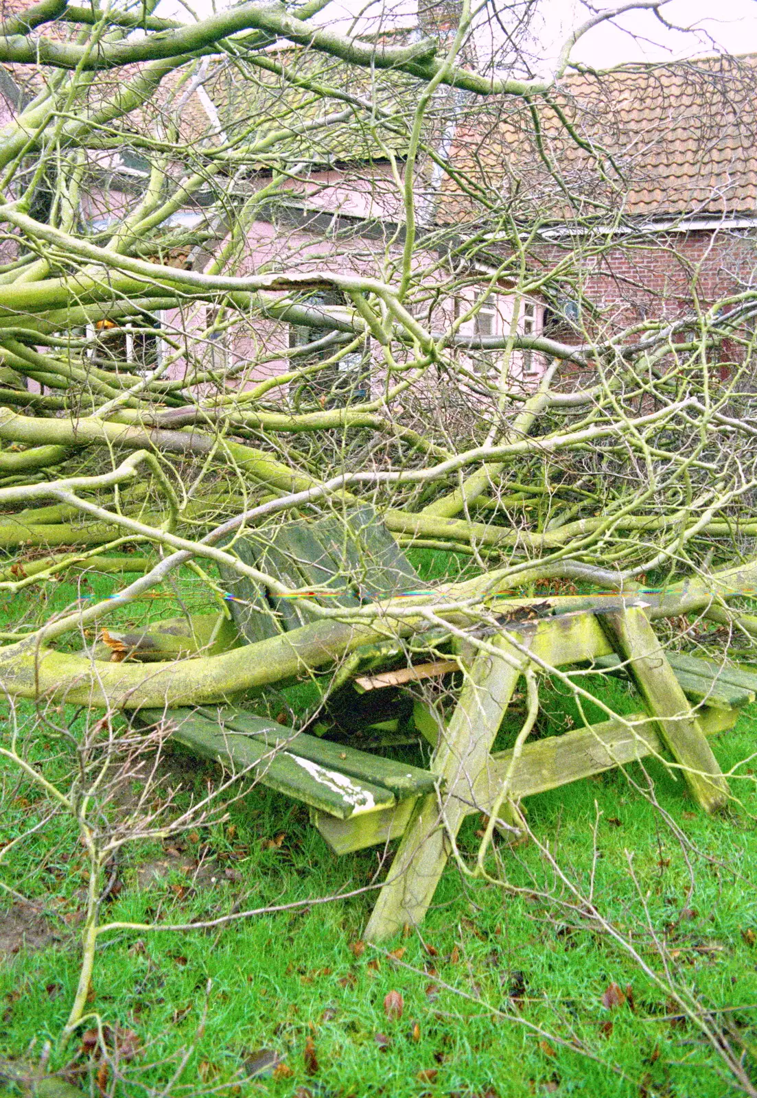 A bench is the only thing that got properly trashed, from A Fallen Tree at The Swan Inn, Brome, Suffolk - January 21st 2001