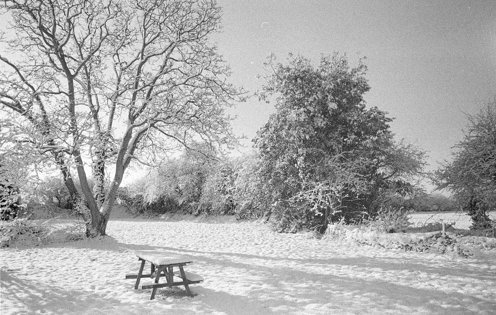 The back garden in snow from 3G Lab, and Building a Staircase, Brome, Suffolk - 11th February 2001