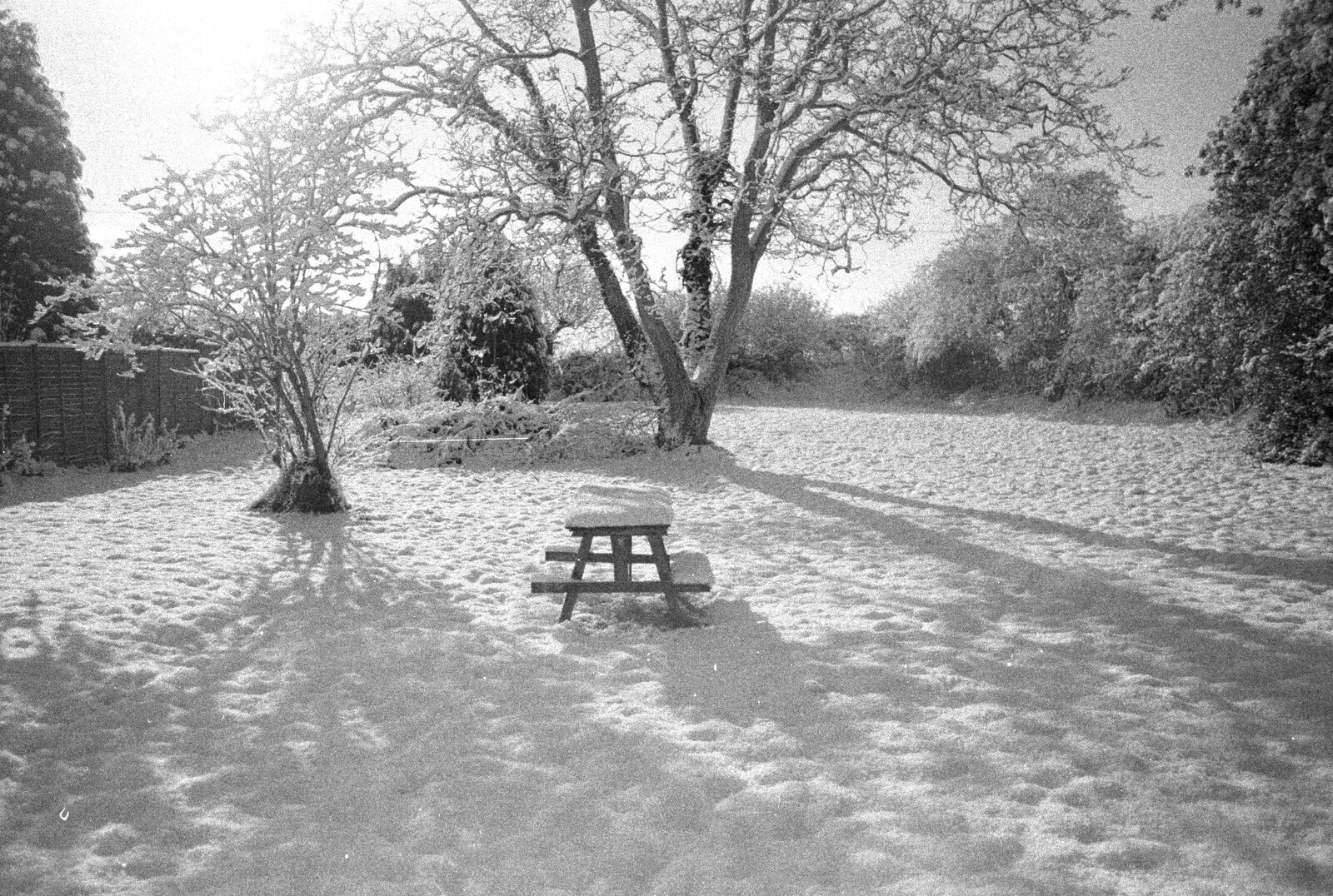 The old bench on the snowy lawn from 3G Lab, and Building a Staircase, Brome, Suffolk - 11th February 2001
