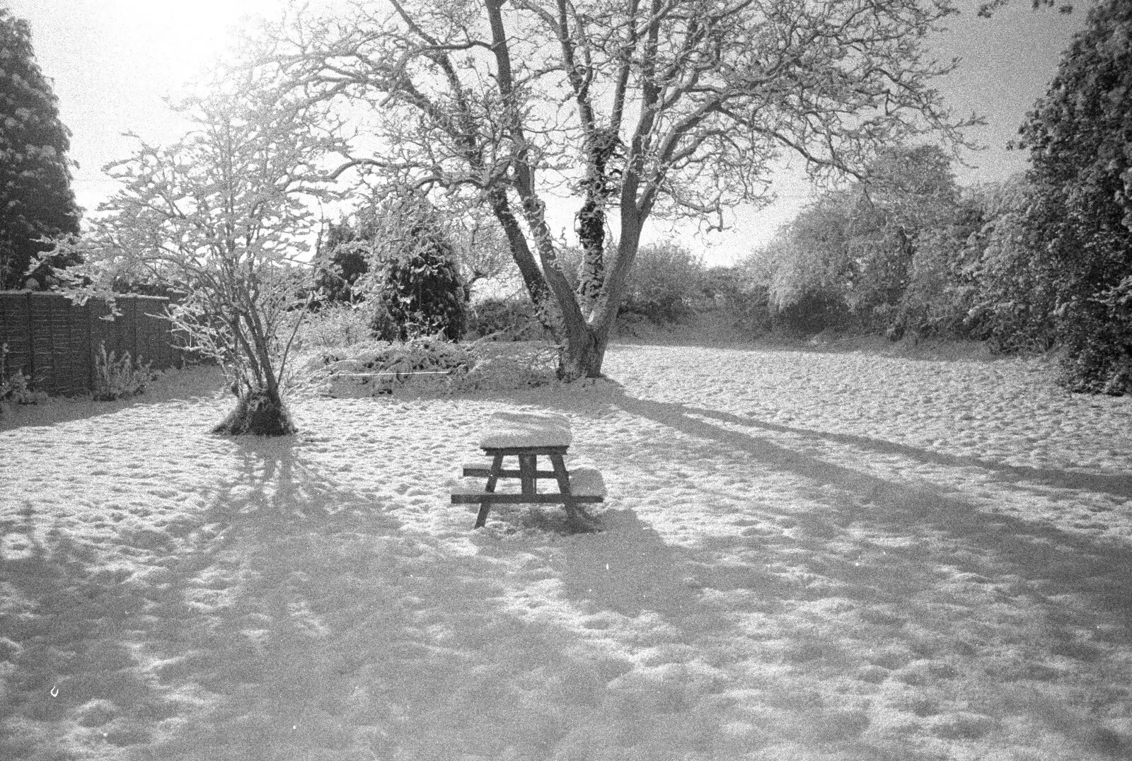 The old bench on the snowy lawn, from 3G Lab, and Building a Staircase, Brome, Suffolk - 11th February 2001