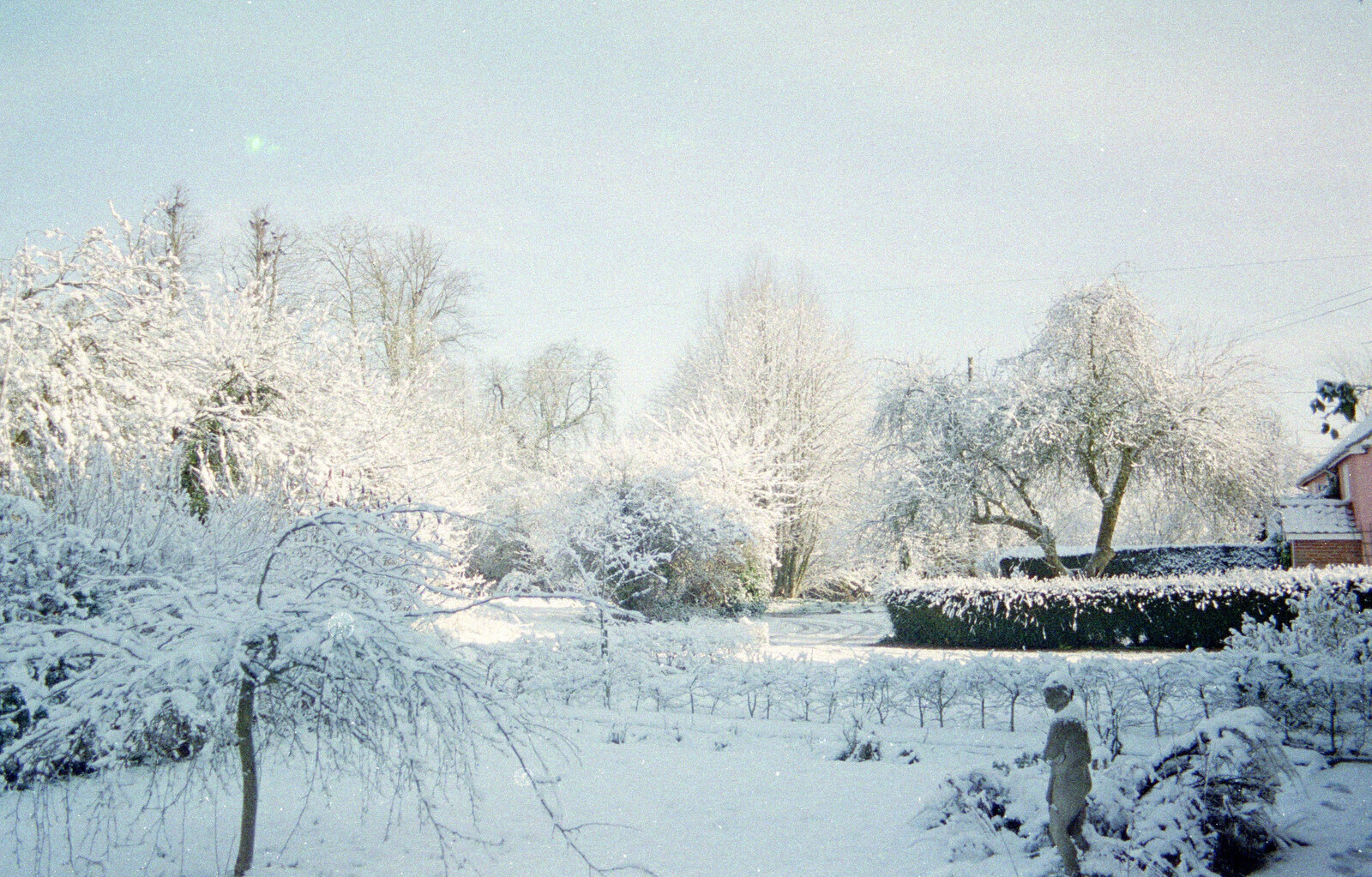The front garden is a winter wonderland from 3G Lab, and Building a Staircase, Brome, Suffolk - 11th February 2001