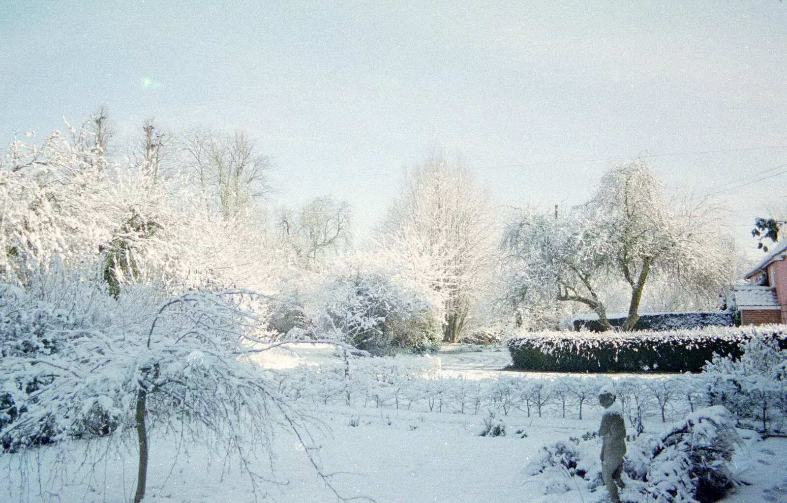 The front garden is a winter wonderland, from 3G Lab, and Building a Staircase, Brome, Suffolk - 11th February 2001