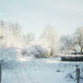 The front garden is a winter wonderland, Building a Staircase, Brome, Suffolk - 11th February 2001