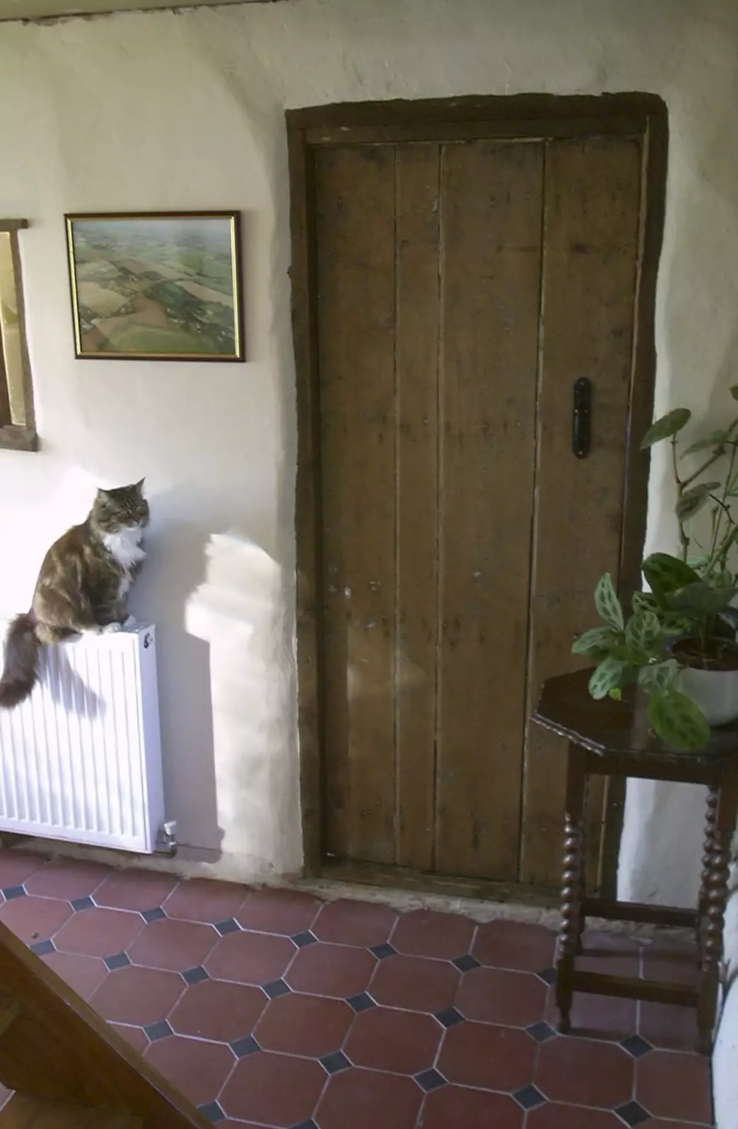 Soph-bags sits on a radiator, from June Randomness, Brome, Suffolk - 15th June 2001