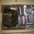 Sophie sleeps in a box, with a load of CDs, June Randomness and The BBs at BOCM Pavillion, Burston - 15th June 2001