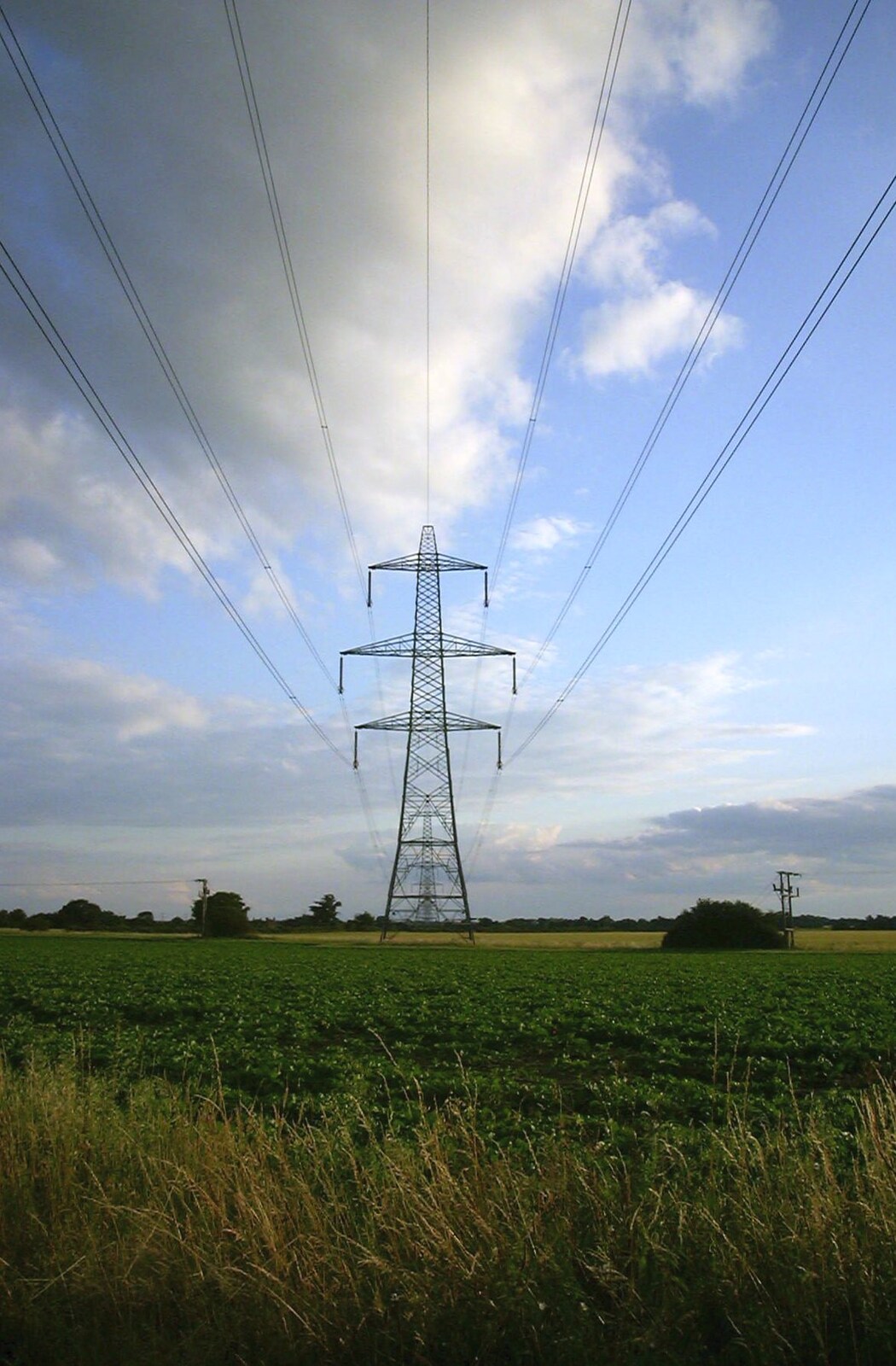 Electricity pylons stride across the land from June Randomness, Brome, Suffolk - 15th June 2001