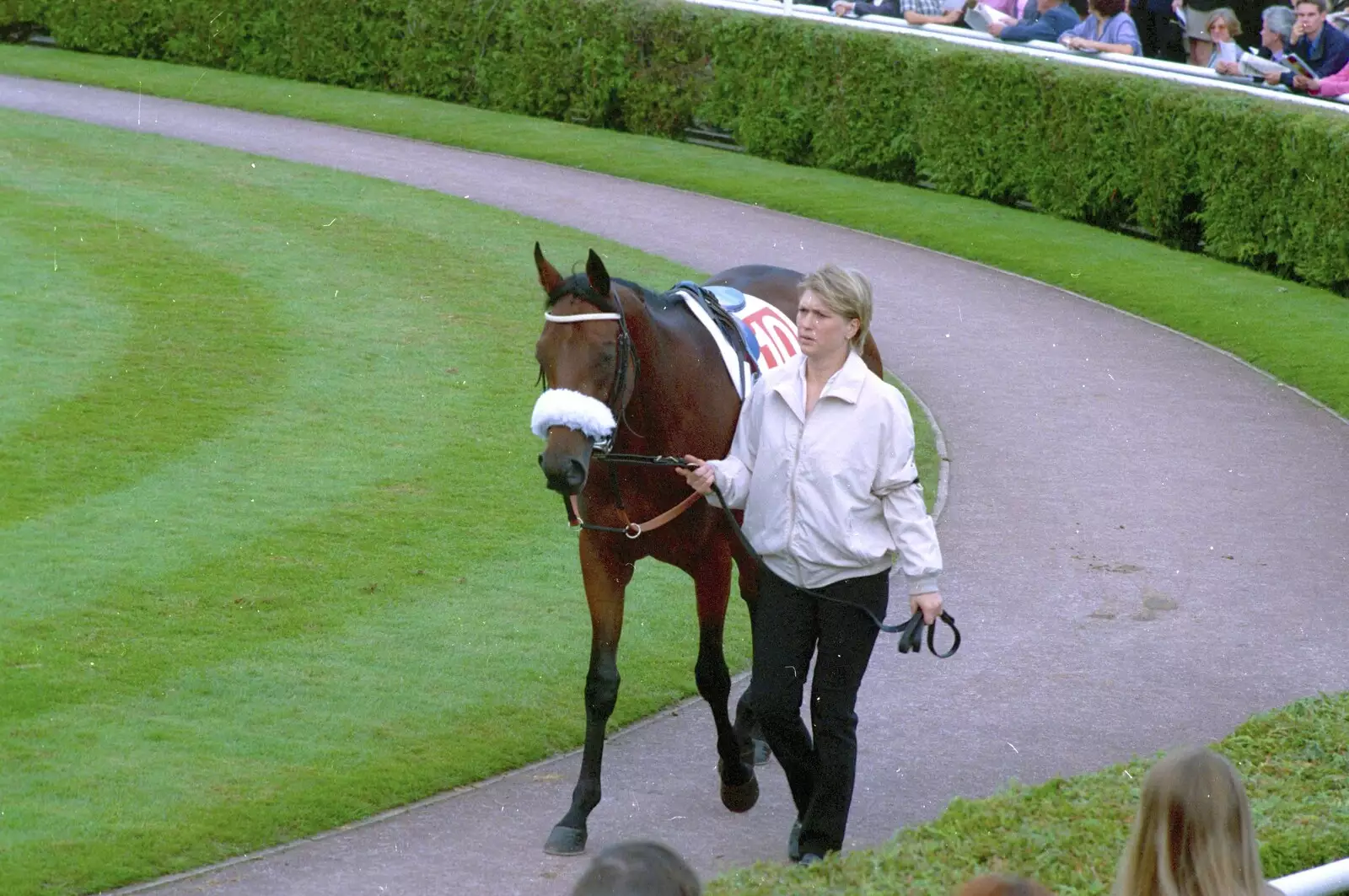 A horse with a Red Rum-esque fluffy nose-band, from 3G Lab Goes to the Races, Newmarket, Suffolk - 15th July 2001