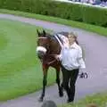 A horse with a Red Rum-esque fluffy nose-band, 3G Lab Goes to the Races, Newmarket, Suffolk - 15th July 2001