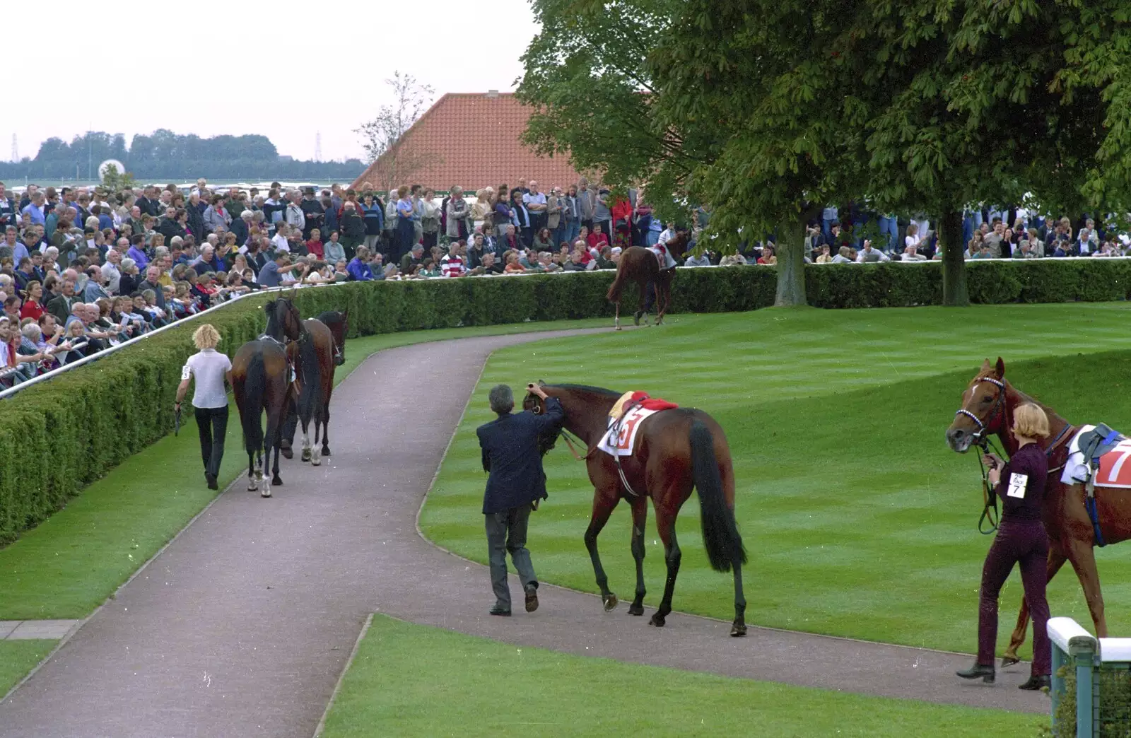 More horse-parading, from 3G Lab Goes to the Races, Newmarket, Suffolk - 15th July 2001