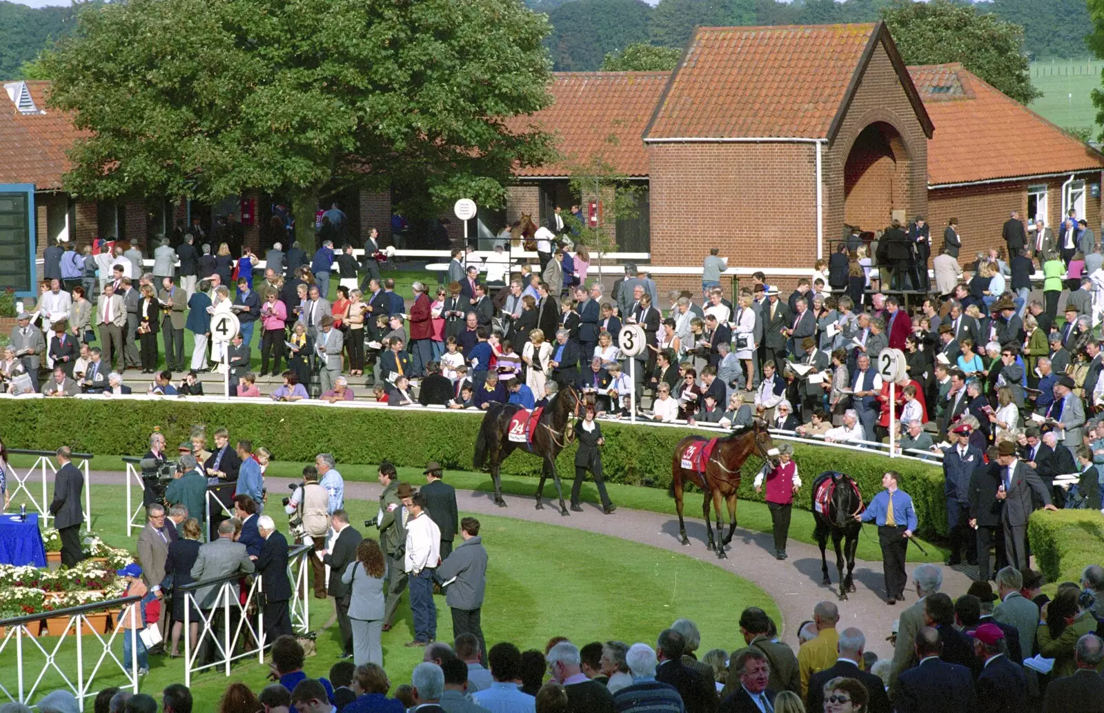 More parade ring action, from 3G Lab Goes to the Races, Newmarket, Suffolk - 15th July 2001