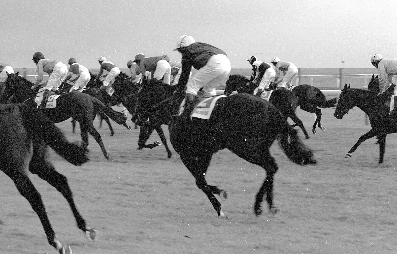 Horses gallop across the line, from 3G Lab Goes to the Races, Newmarket, Suffolk - 15th July 2001