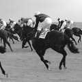 Horses gallop across the line, 3G Lab Goes to the Races, Newmarket, Suffolk - 15th July 2001