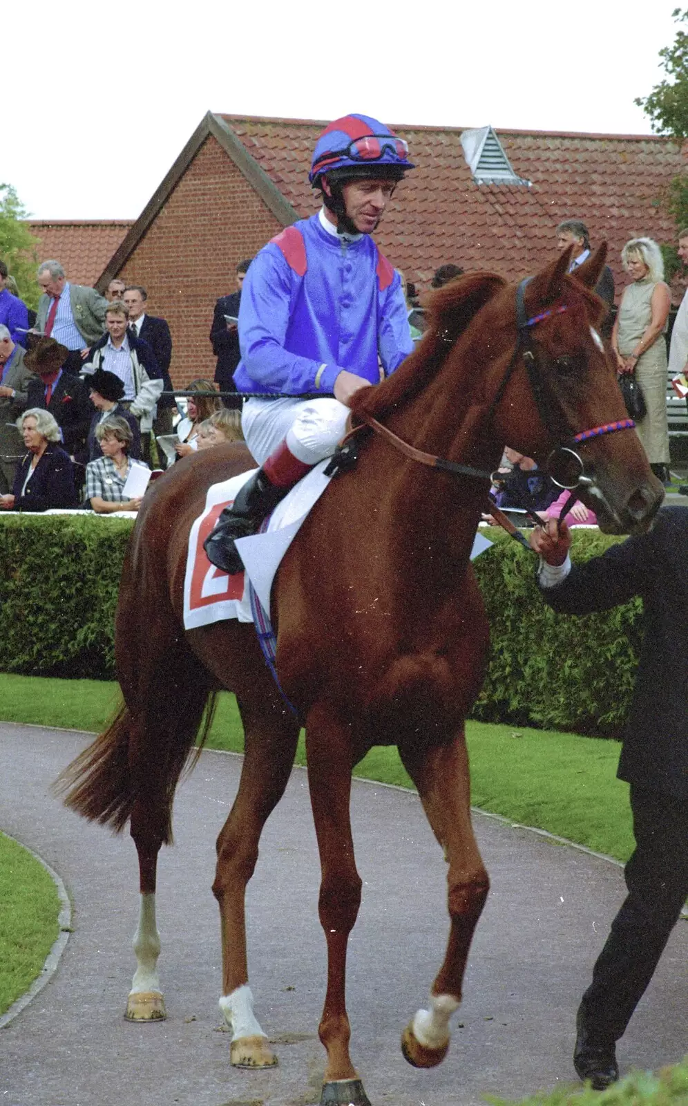 A winning horse, from 3G Lab Goes to the Races, Newmarket, Suffolk - 15th July 2001