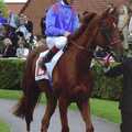 A winning horse, 3G Lab Goes to the Races, Newmarket, Suffolk - 15th July 2001