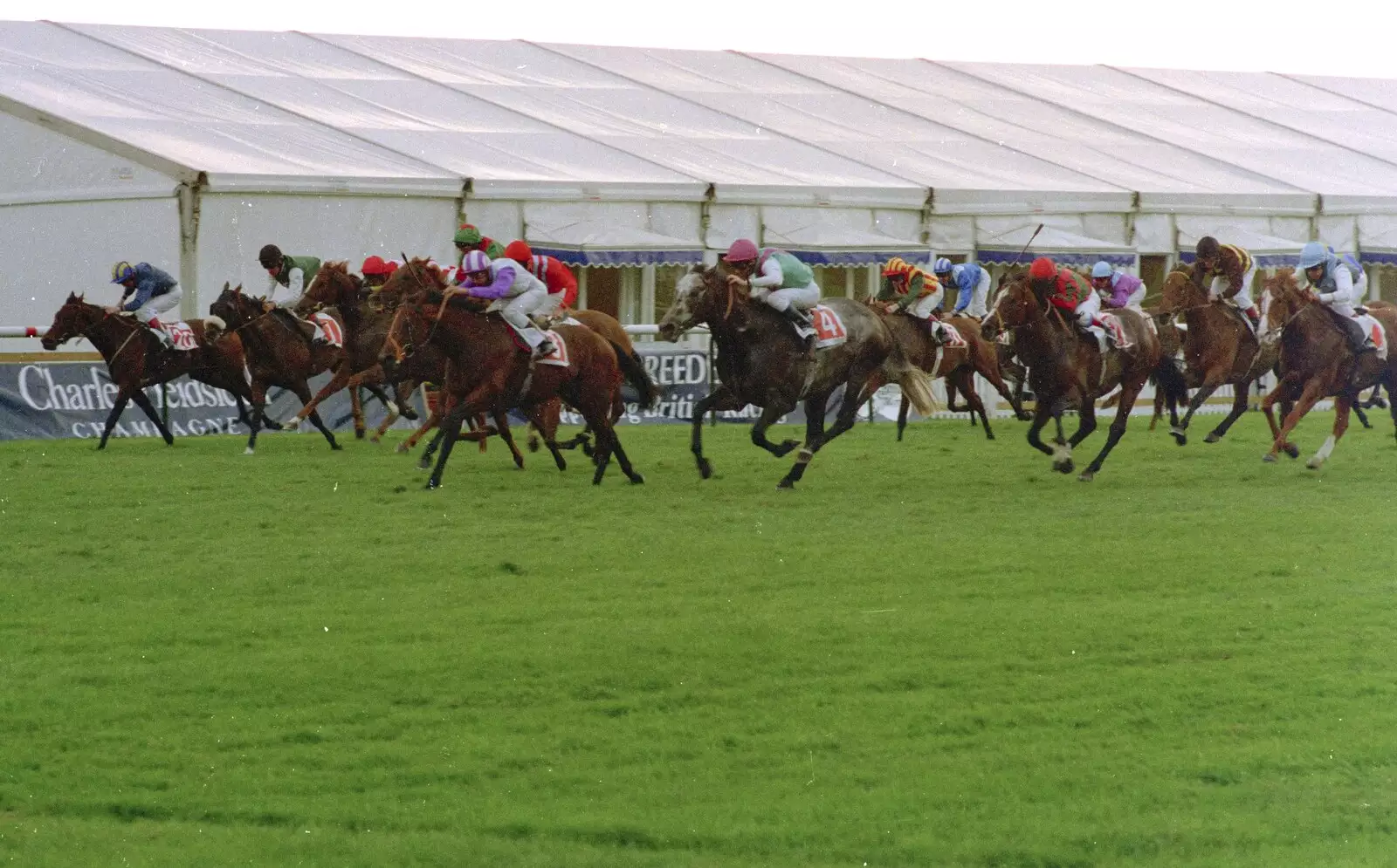 Horses thunder down the field, from 3G Lab Goes to the Races, Newmarket, Suffolk - 15th July 2001