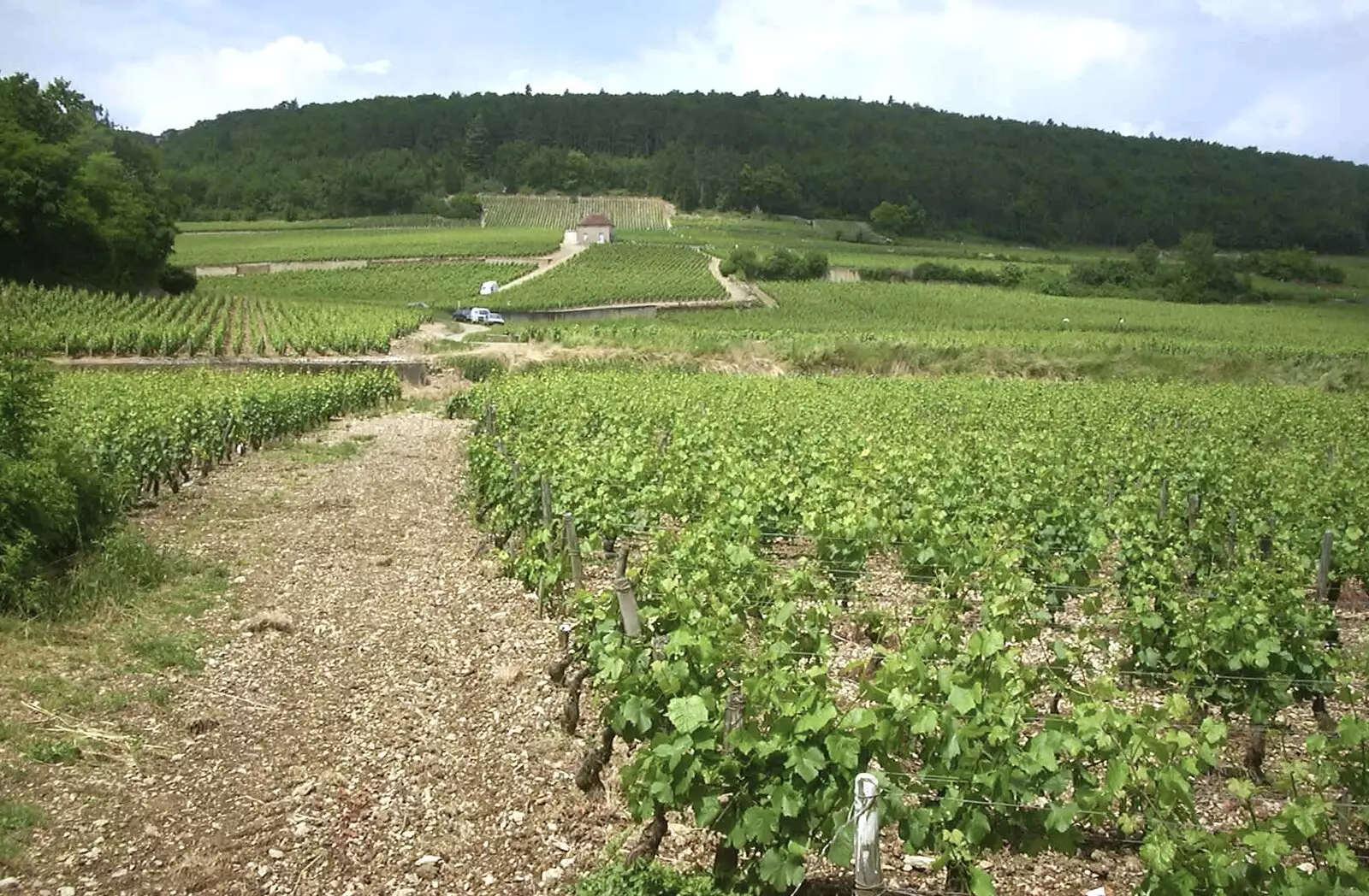 Another vineyard view, from A Short Holiday in Chivres, Burgundy, France - 21st July 2001