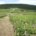 Another vineyard view, A Short Holiday in Chivres, Burgundy, France - 21st July 2001