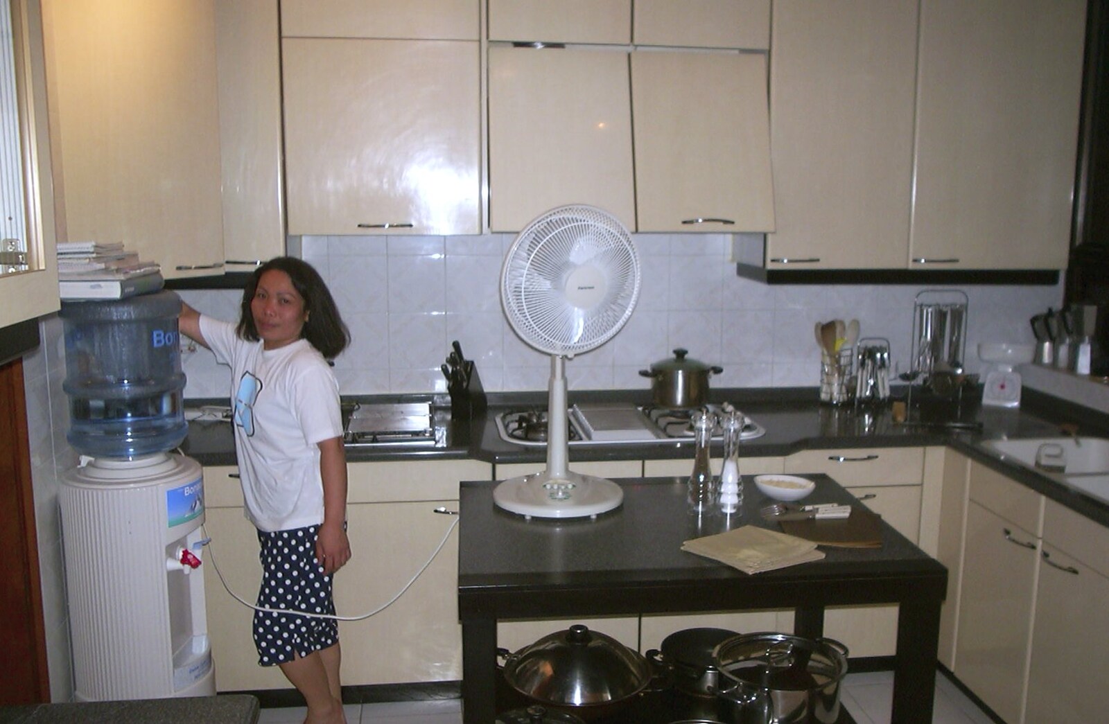 A Trip to Hong Kong, China - 11th August 2001: Josie, our wonderful Filipino maid, in the kitchen