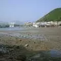 Down on the mudflats, Lamma Island, Hong Kong, China - 20th August 2001