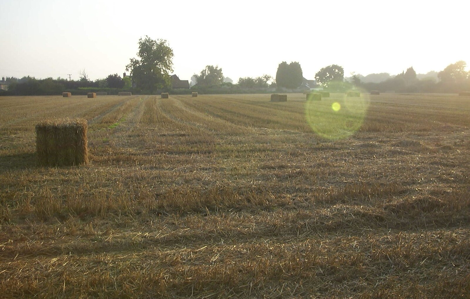 The side field has been cut and baled from 3G Lab Moves Offices, Milton Road, Cambourne and Cambridge - 27th August 2001