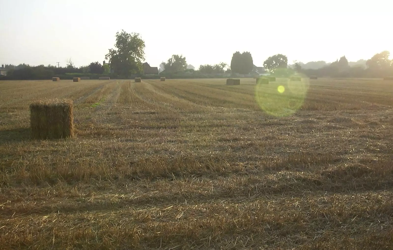 The side field has been cut and baled, from 3G Lab Moves Offices, Milton Road, Cambourne and Cambridge - 27th August 2001