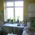 The kitchen, with a classic student-style boiler, Sis's Kitchen, Morden, London - 15th November 2001