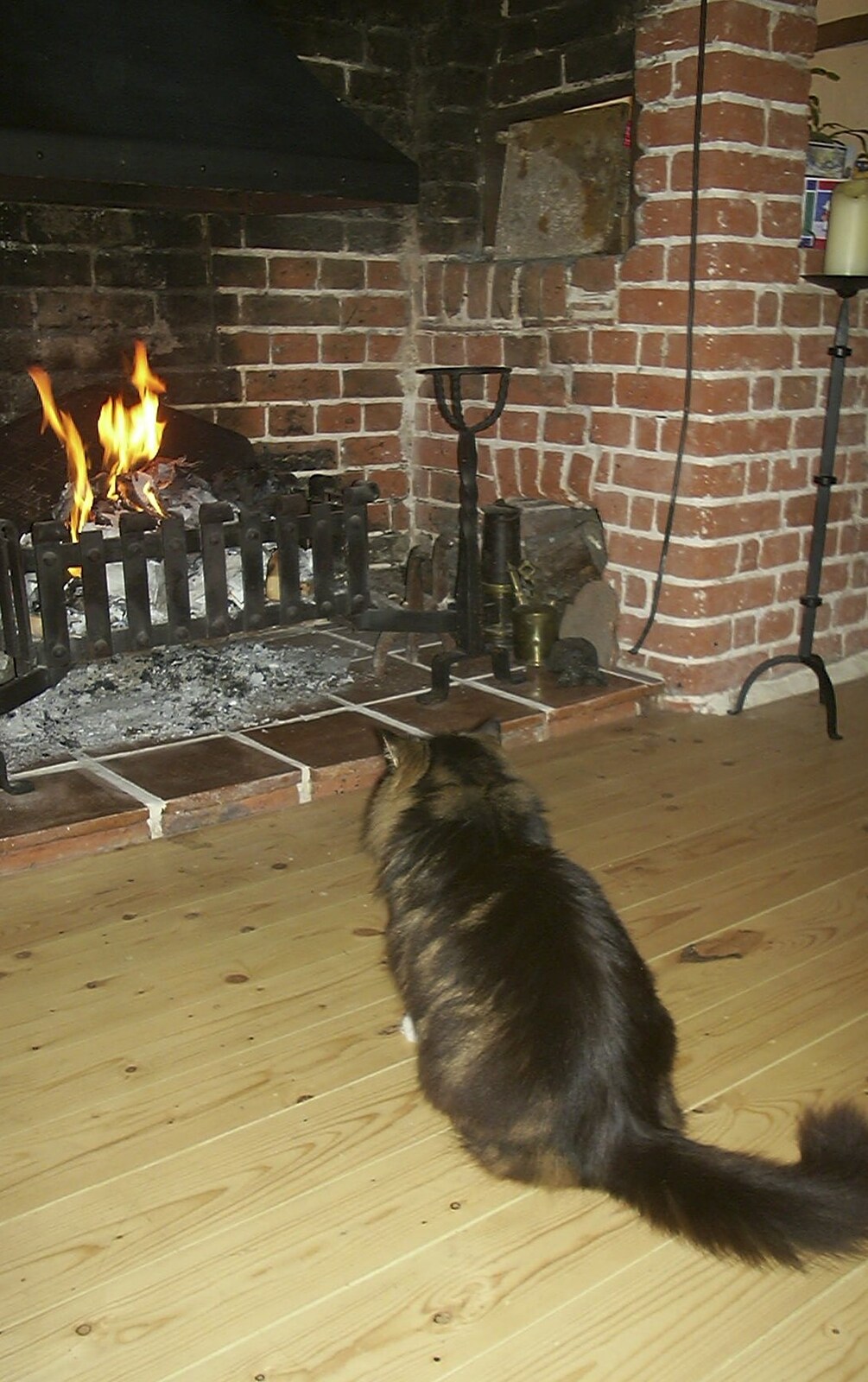 Soph-bags sits in front of the fire from Nearly Christmas With Sis and Matt, Brome, Suffolk - 24th December 2001