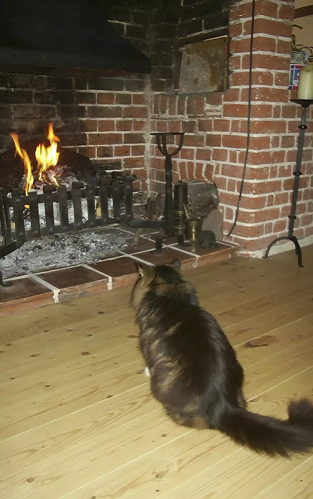 Soph-bags sits in front of the fire, from Nearly Christmas With Sis and Matt, Brome, Suffolk - 24th December 2001