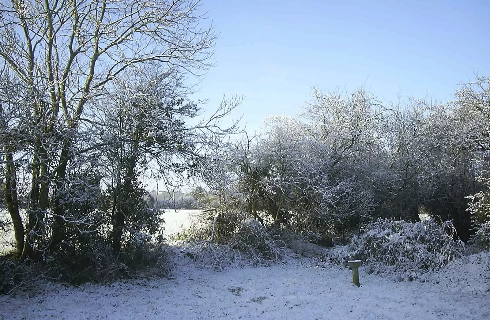 Snow on the side field, from Nearly Christmas With Sis and Matt, Brome, Suffolk - 24th December 2001