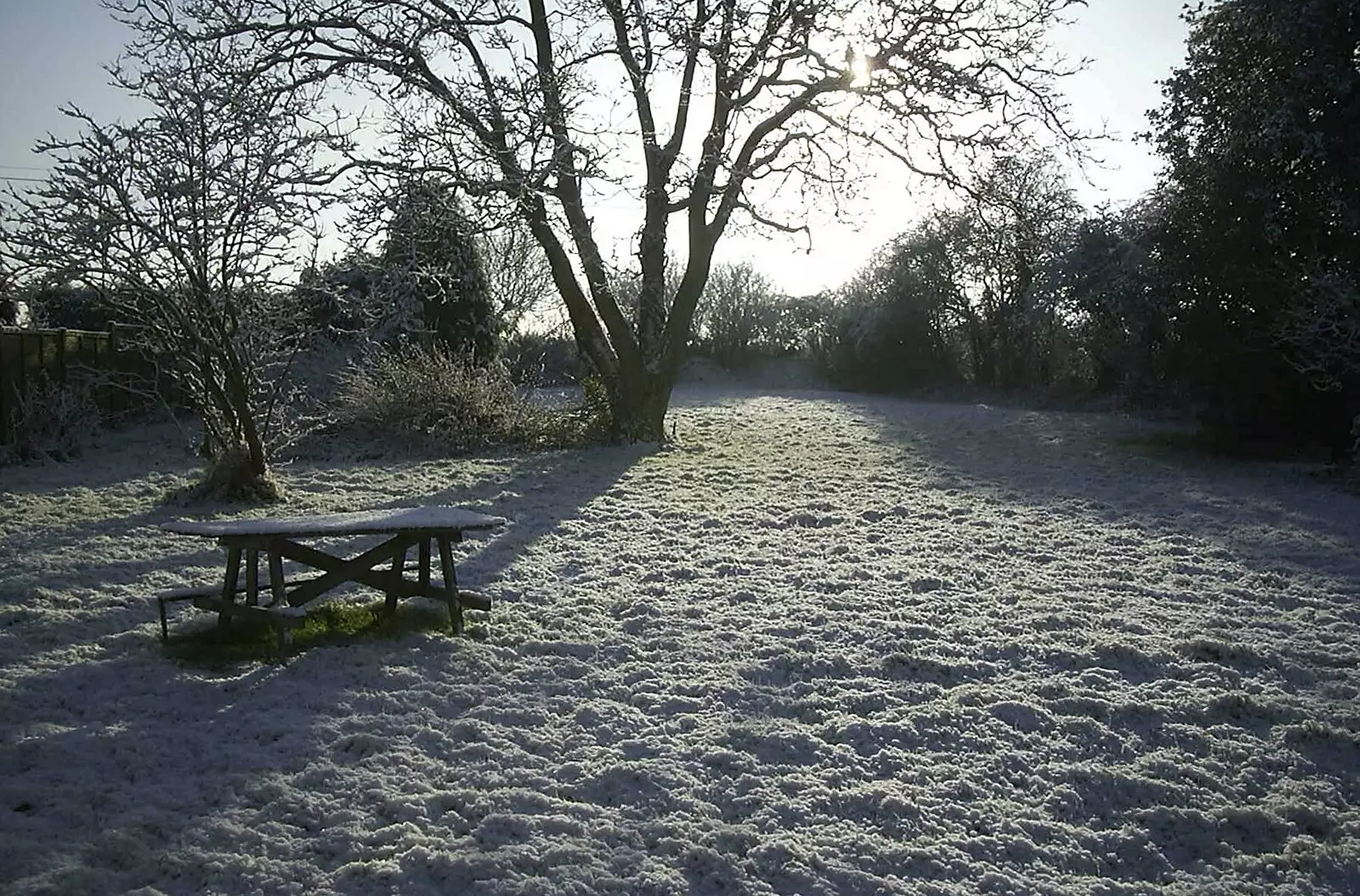 The back garden, from Nearly Christmas With Sis and Matt, Brome, Suffolk - 24th December 2001