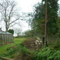 In the garden, Marc Chops Trees, Richard Stallman and a March Miscellany, Suffolk and Cambridge - 5th March 2002