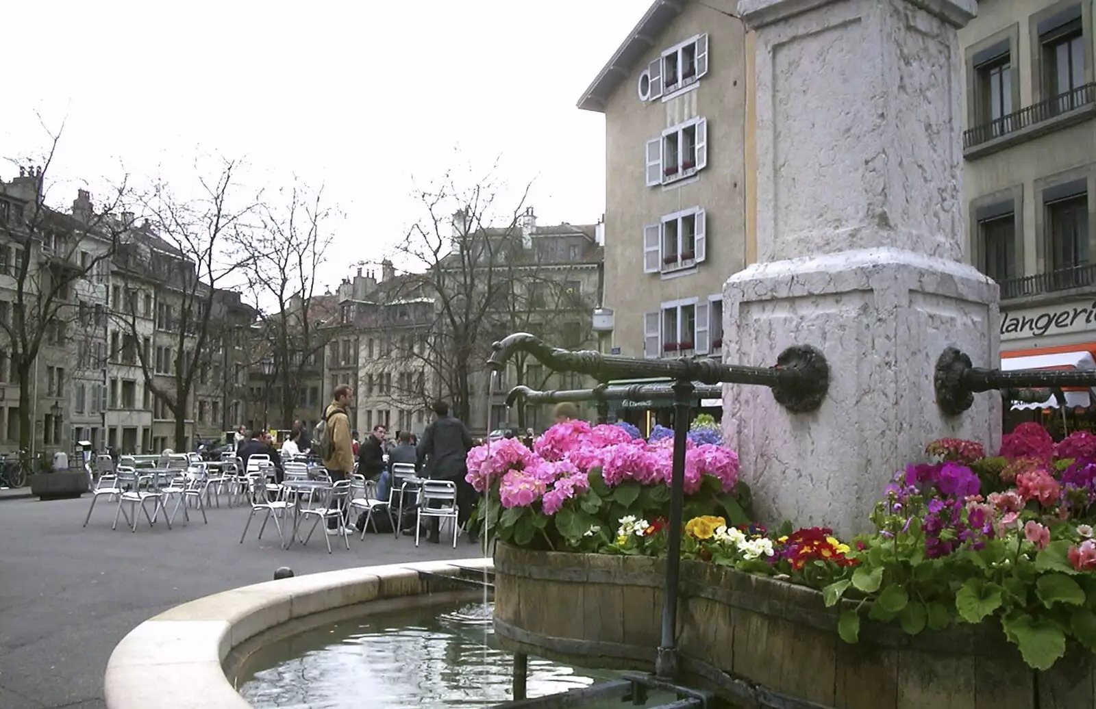 Flowers by a water feature, from Nosher in Geneva, Switzerland - 17th March 2002