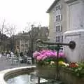 Flowers by a water feature, Nosher in Geneva, Switzerland - 17th March 2002