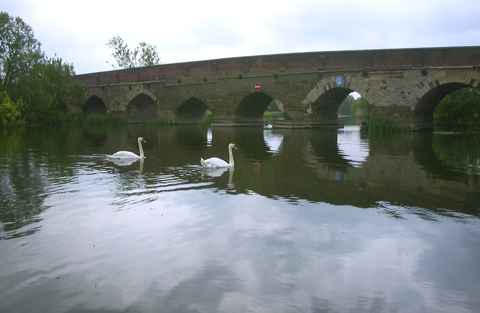 The BSCC Bike Ride, Shefford, Bedford - 11th May 2002: Swans drift by