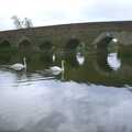 2002 Swans drift by