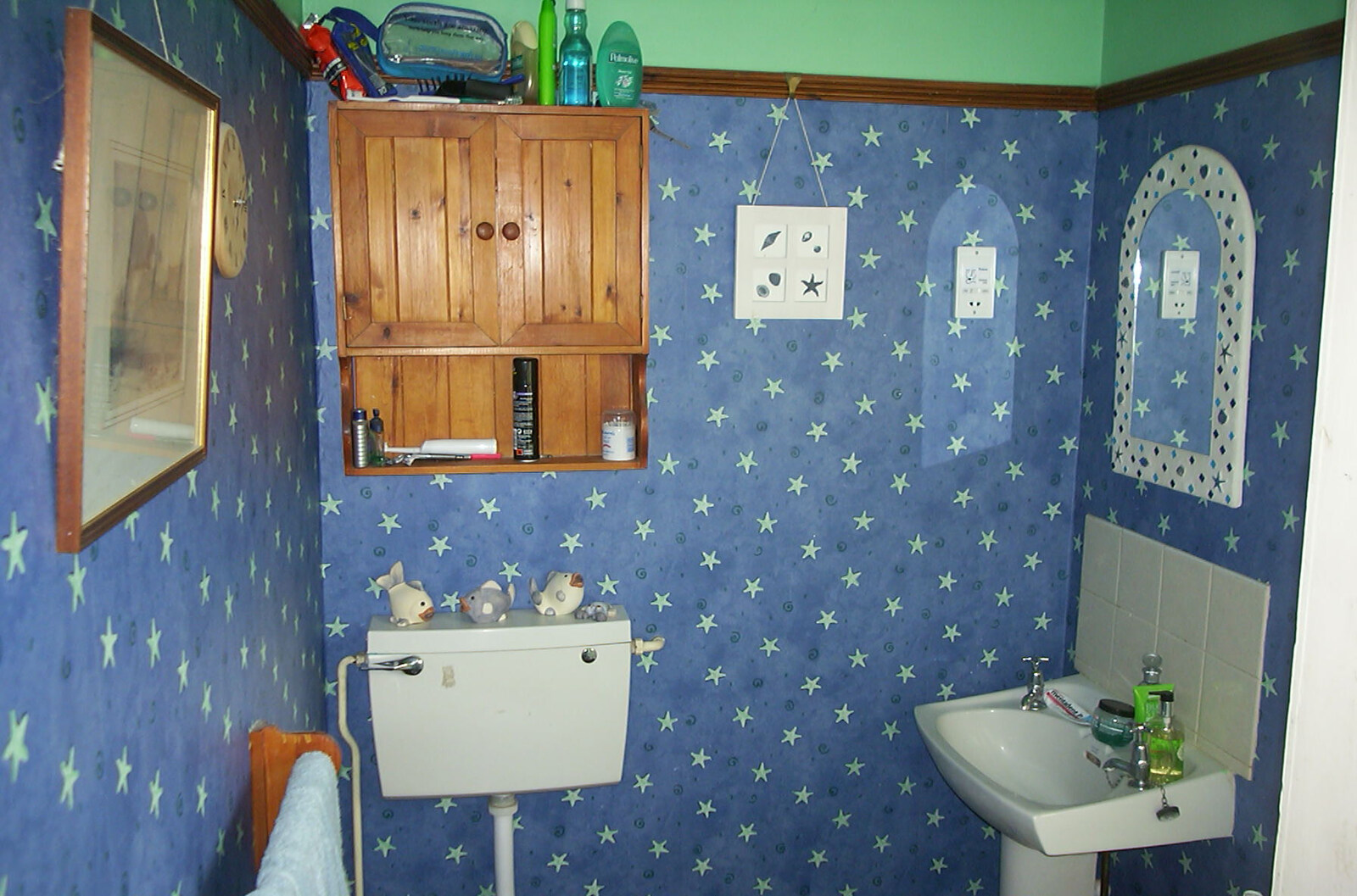 Spammy's Barbeque and A Summer Miscellany - 1st June 2002: The bathroom has a new starry colour scheme