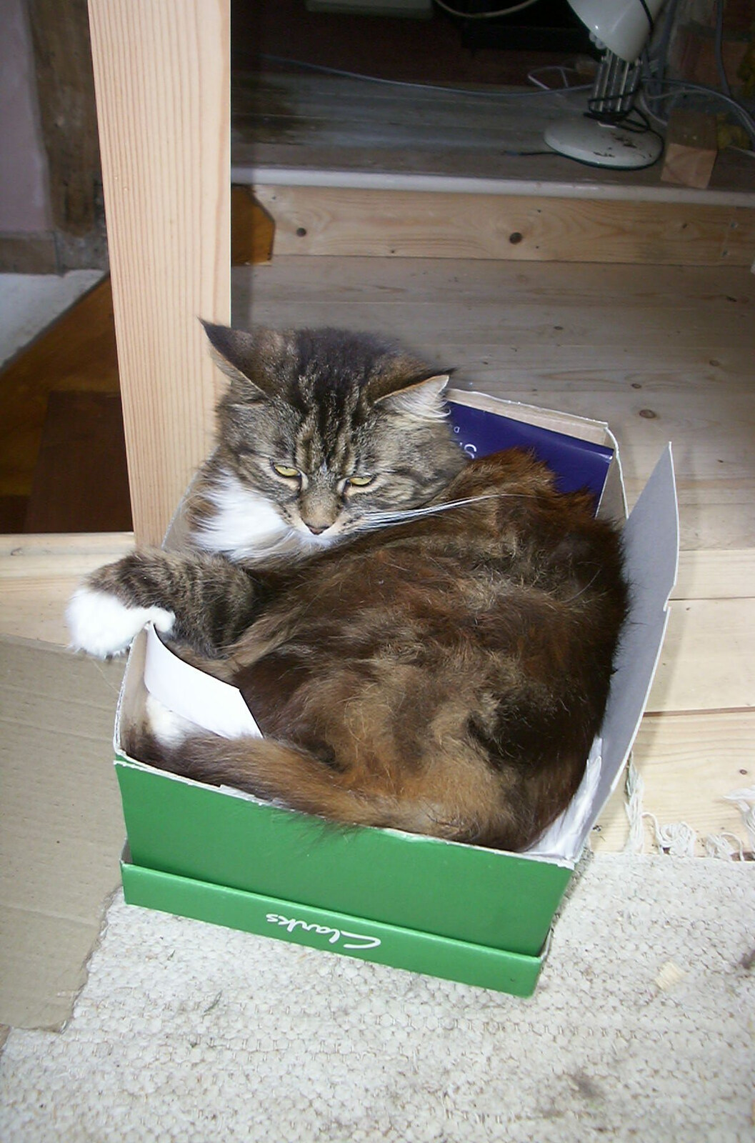 Spammy's Barbeque and A Summer Miscellany - 1st June 2002: Sophie in a box