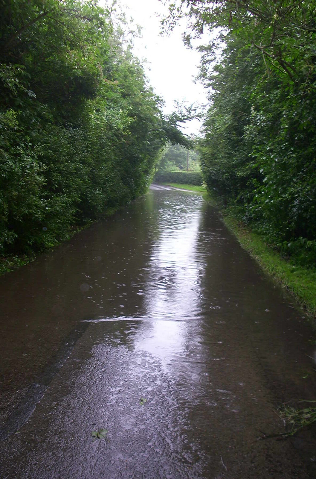 Spammy's Barbeque and A Summer Miscellany - 1st June 2002: The road in Brome is a bit flooded