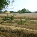 The side field is harvested, BSCC Rides, Petanque at the Swan and July Miscellany - 21st July 2002