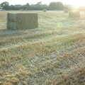 A field of bales, BSCC Rides, Petanque at the Swan and July Miscellany - 21st July 2002