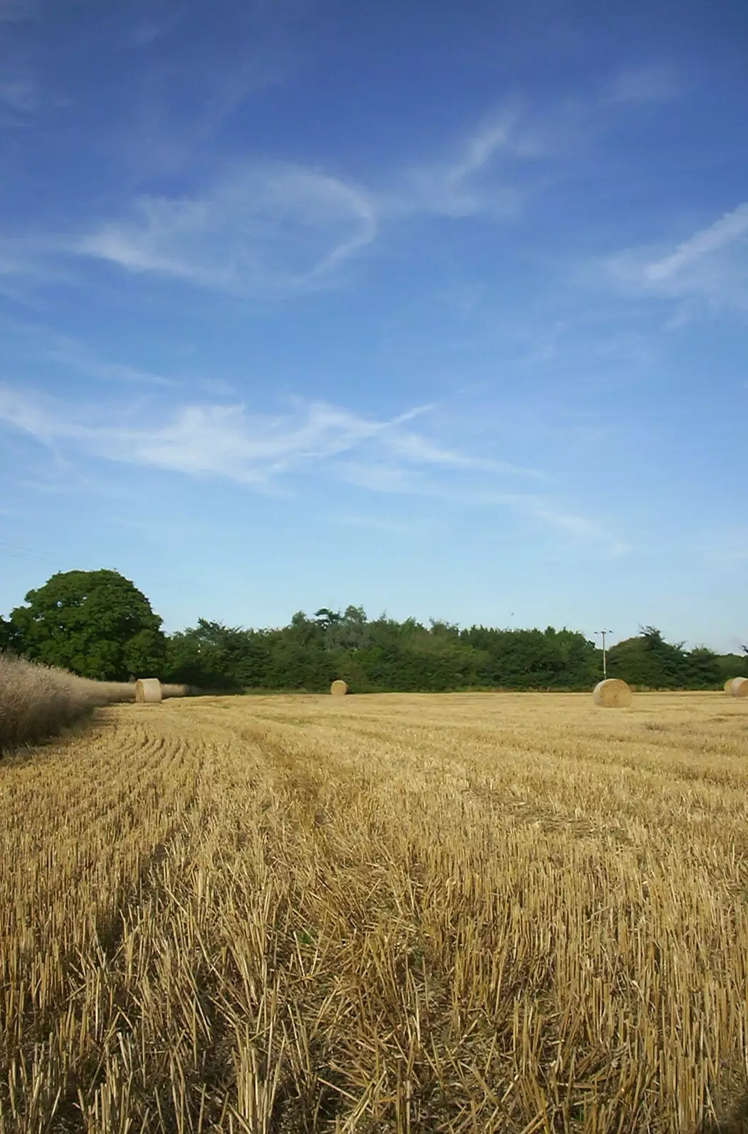 A stubble field, from Alan gets a Cherry Picker, Brome, Suffolk - 2nd August 2002