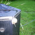 2002 There's a snail stuck to a speaker in the garden