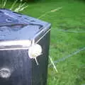 There's a snail stuck to a speaker in the garden, Nosher's BSCC Barbeque, Brome, Suffolk - 3rd August 2002