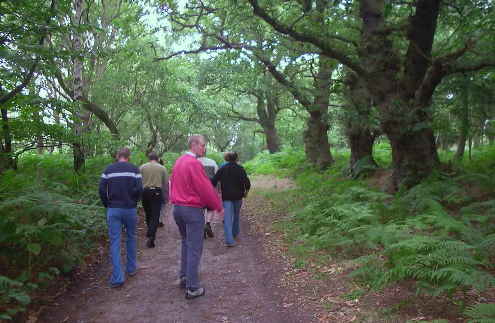 Wandering through the woods, from A BSCC Splinter Group Camping Weekend, Theberton, Suffolk - 11th August 2002