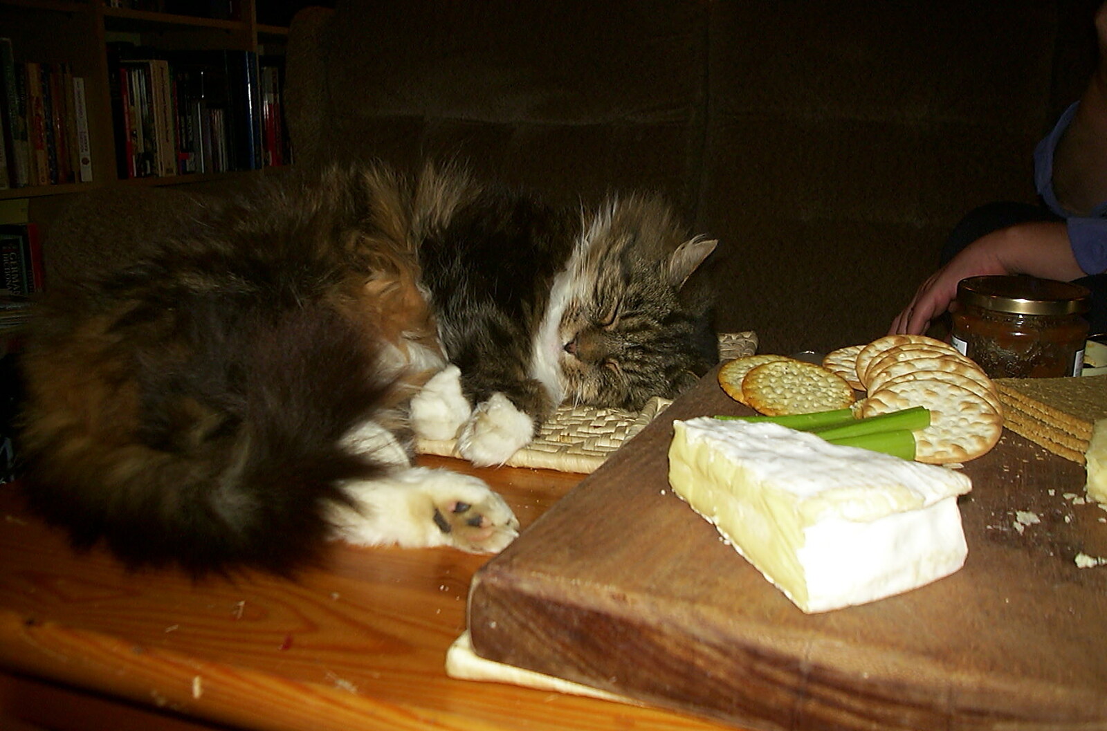 Sophie sleeps next to the cheese from Mother and Mike Visit, and Cat Photos, Brome, Suffolk - 1st September 2002