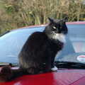 2002 The Sock sits on the bonnet of the car