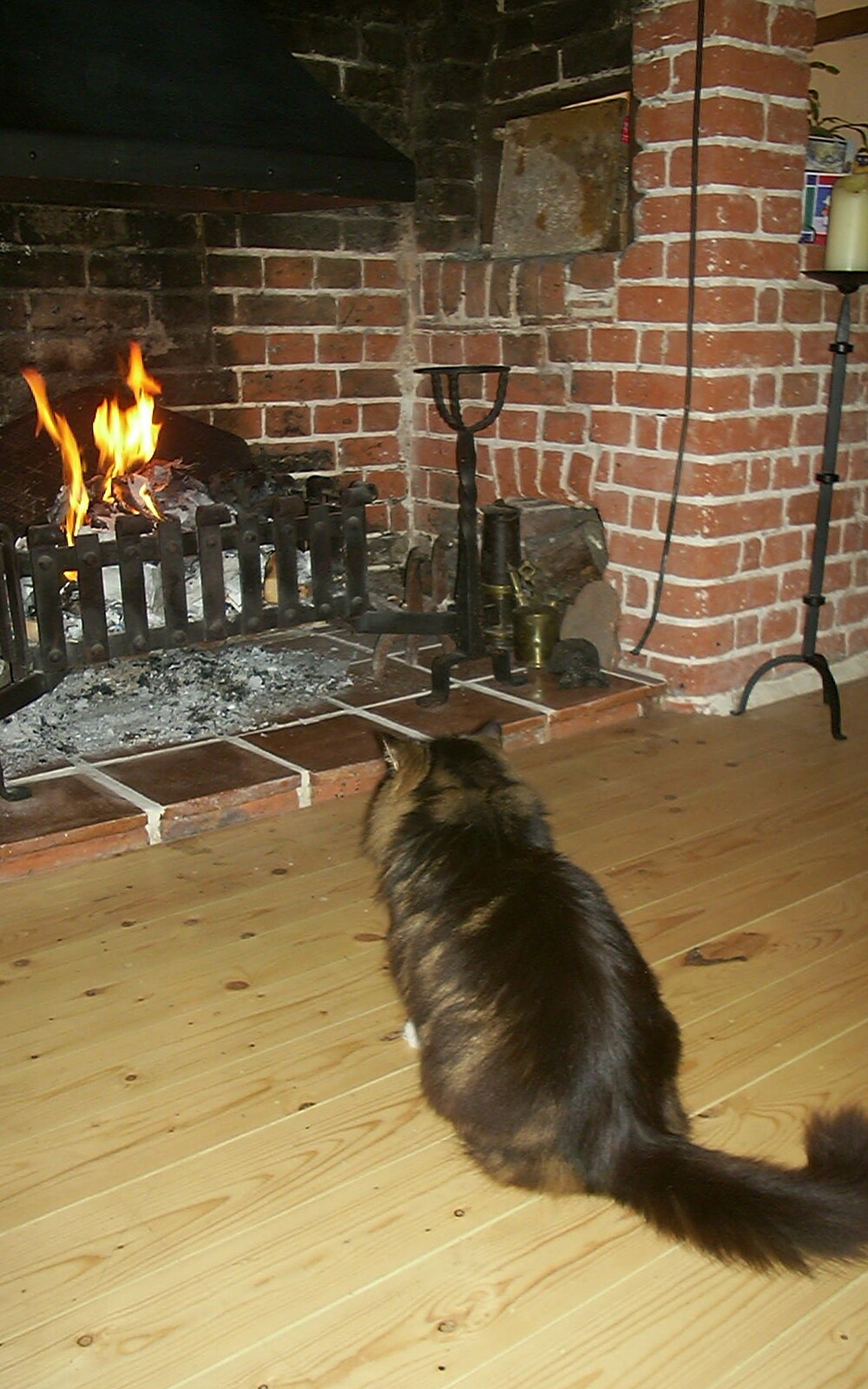 Sophie sits in front of the fire from The House in Snow and a Carburettor, Brome, Suffolk - 20th December 2002